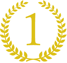 icon1